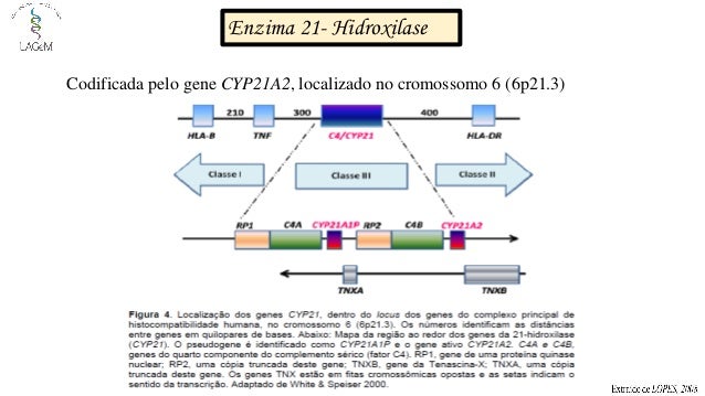 online neurodegenerative diseases clinical aspects molecular genetics